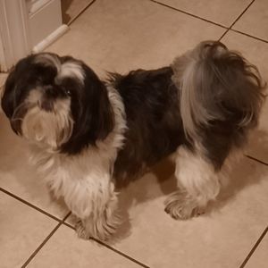 Meet your Posher, Dejay